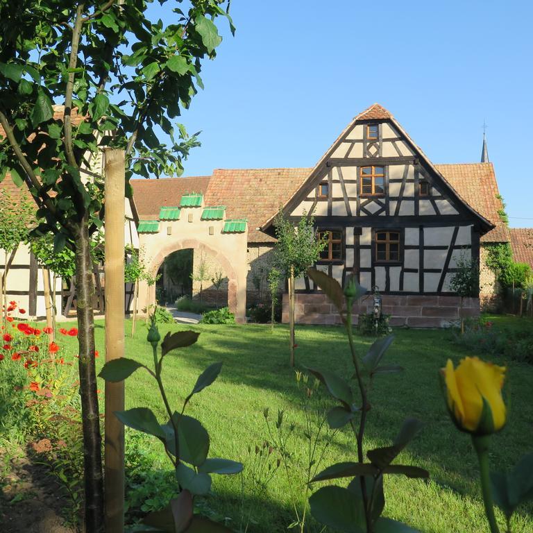 Gite D'Audrey Et Jean Uttenheim Экстерьер фото