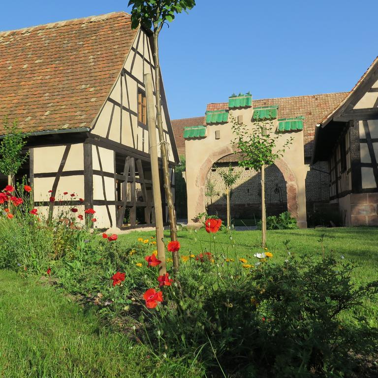 Gite D'Audrey Et Jean Uttenheim Экстерьер фото