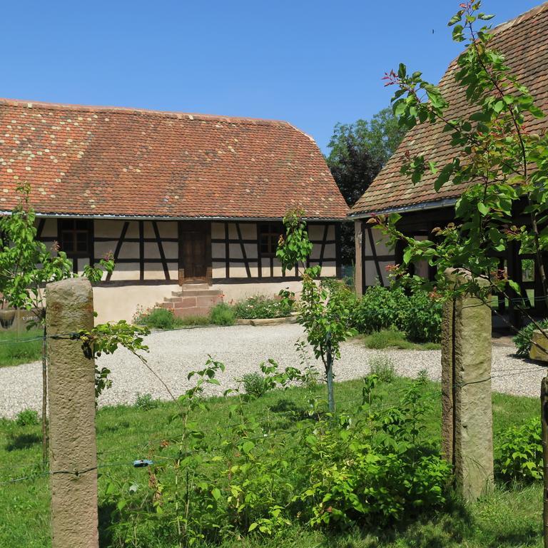 Gite D'Audrey Et Jean Uttenheim Экстерьер фото